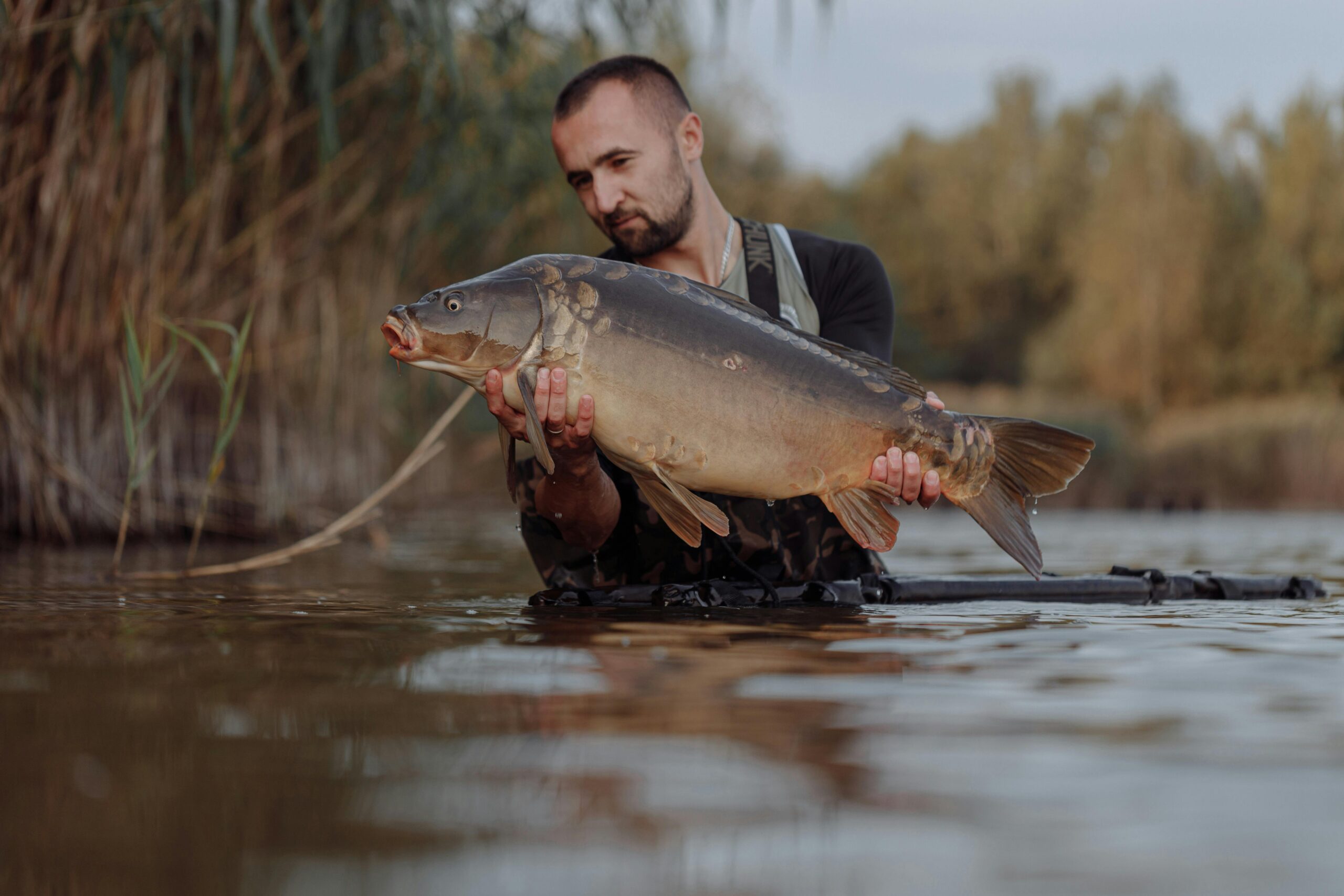 carp fishing in june