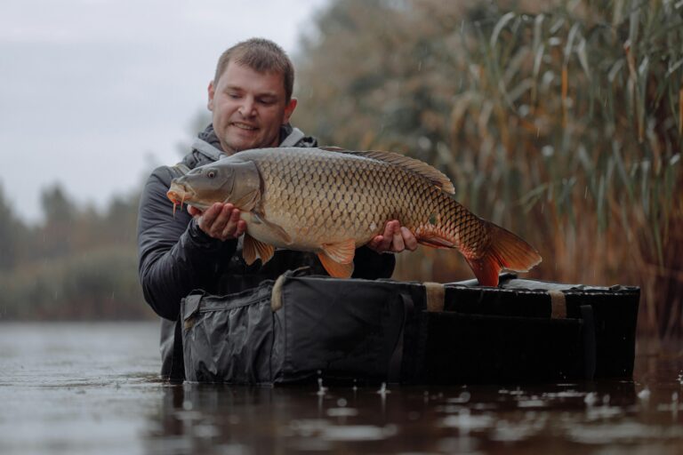 carp fishing june