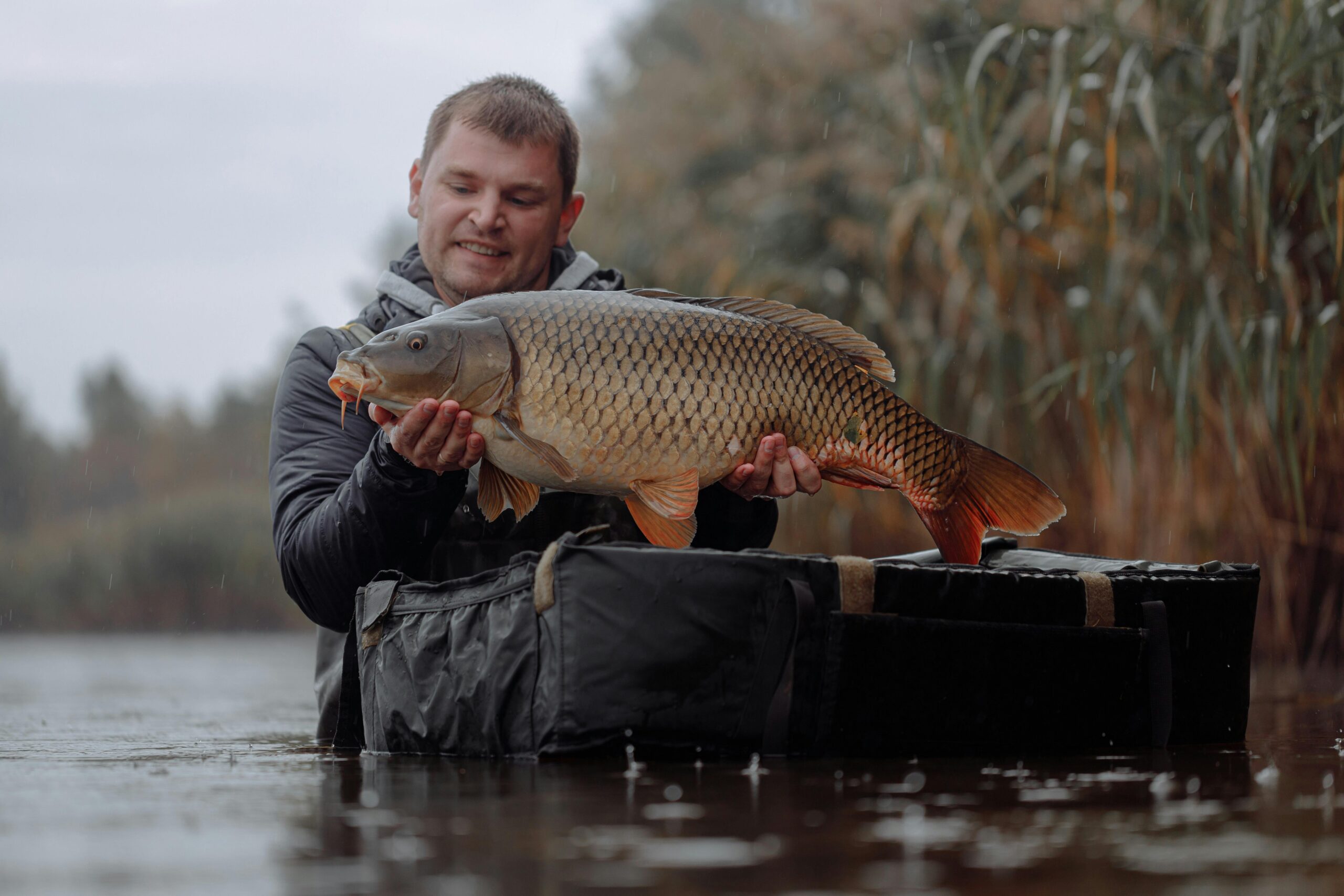 carp fishing june